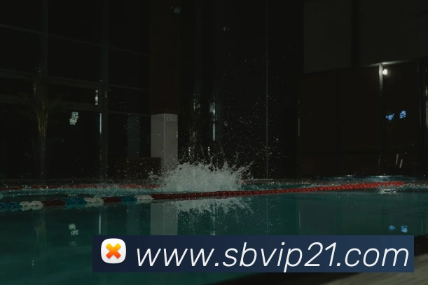 sunbet申博官网服务体系